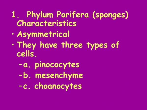 1.  Phylum Porifera (sponges) Characteristics Asymmetrical  They have three types of cells.