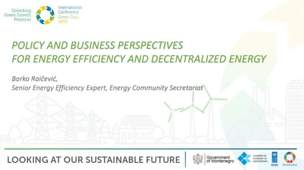POLICY AND BUSINESS PERSPECTIVES  FOR ENERGY EFFICIENCY AND DECENTRALIZED ENERGY