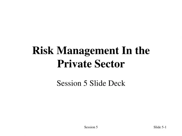 Risk Management In the Private Sector