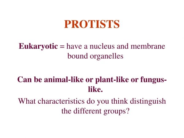 PROTISTS