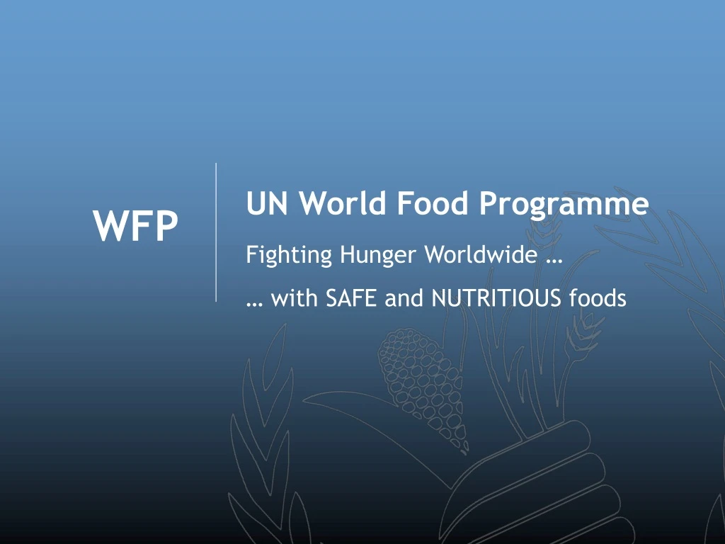 un world food programme
