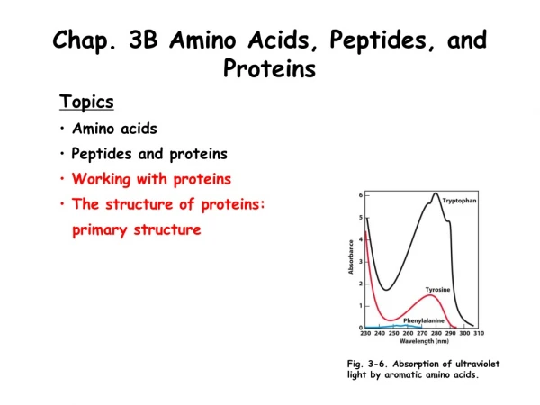 Chap. 3B Amino Acids, Peptides, and Proteins