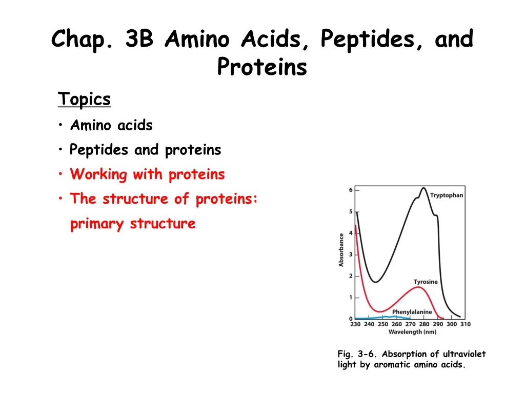 chap 3b amino acids peptides and proteins