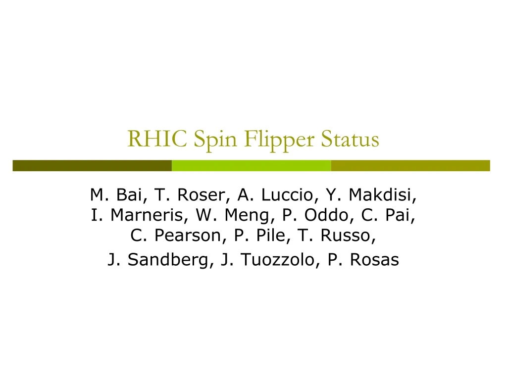 rhic spin flipper status