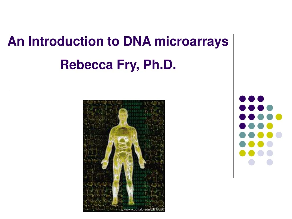 an introduction to dna microarrays rebecca