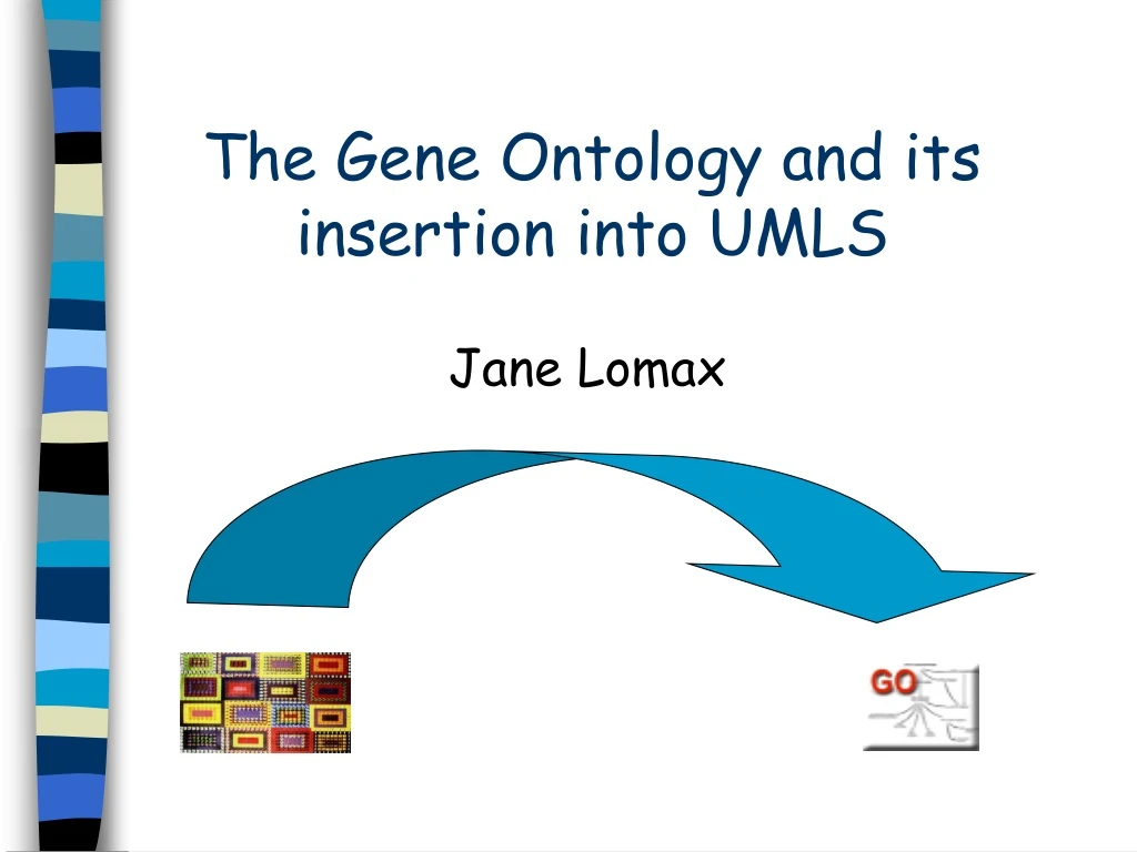 the gene ontology and its insertion into umls