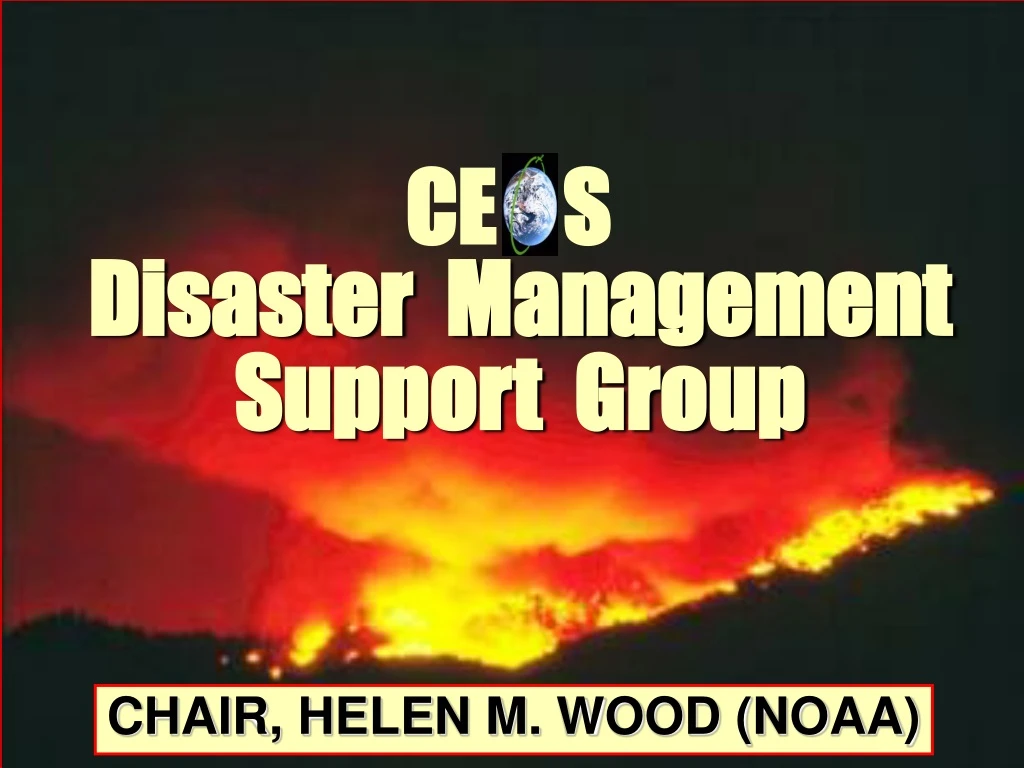 disaster management support group