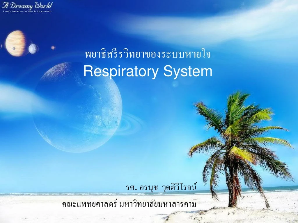 respiratory system