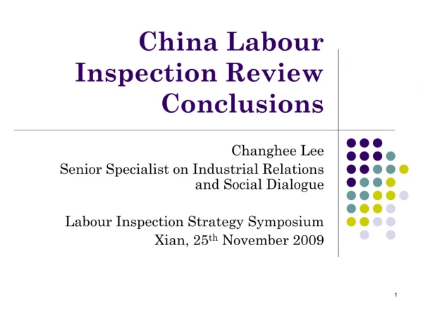 China Labour Inspection Review Conclusions
