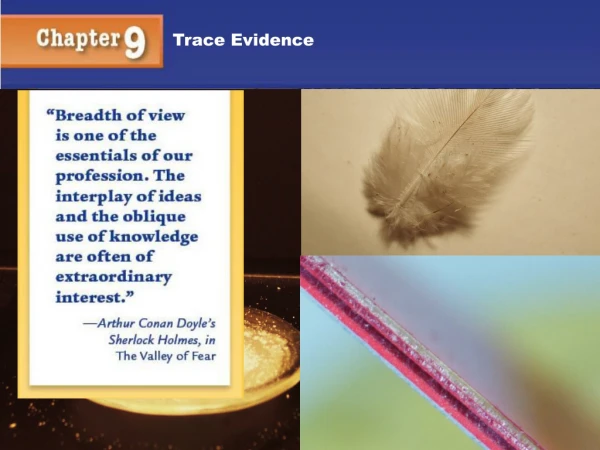 Trace Evidence