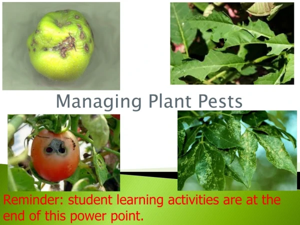 Managing Plant Pests