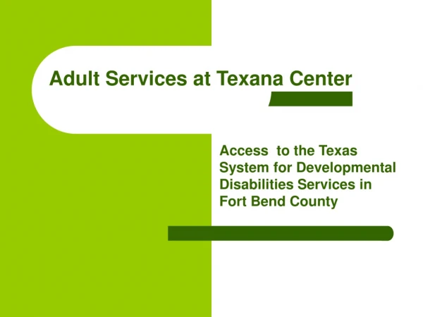 Adult Services at Texana Center
