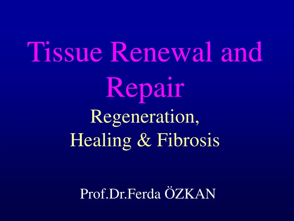 tissue renewal and repair regeneration healing fibrosis