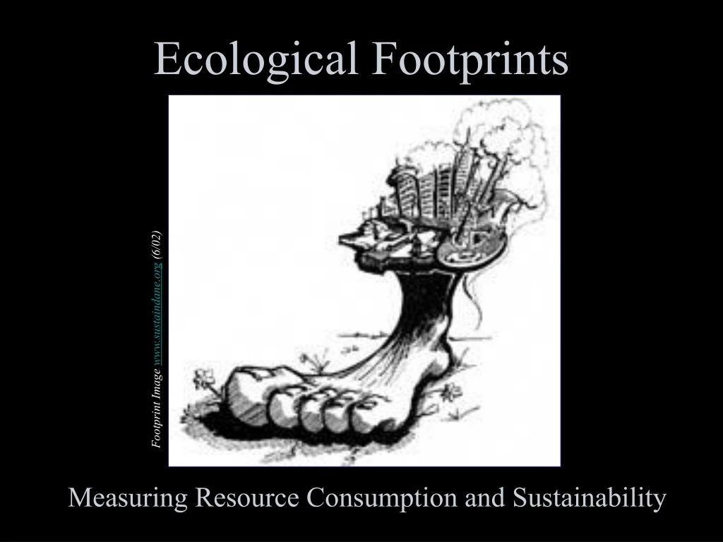 ecological footprints