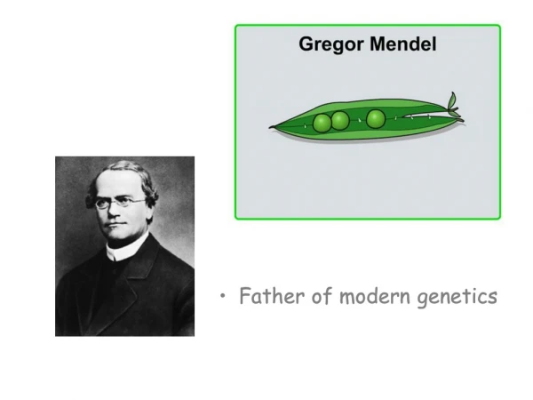 The life and work of  Gregor  Mendel