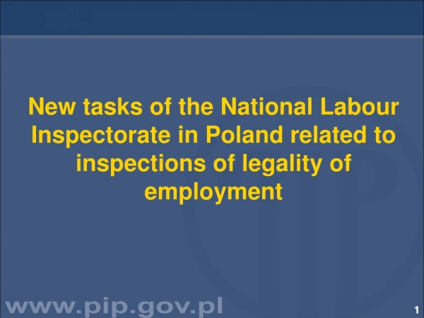 National Labour Inspectorate