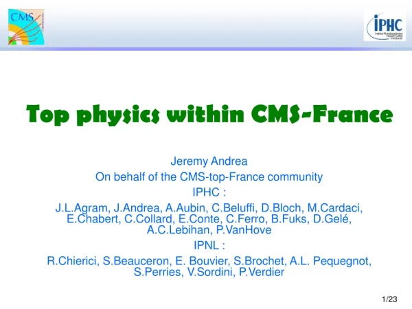 Top physics within CMS-France