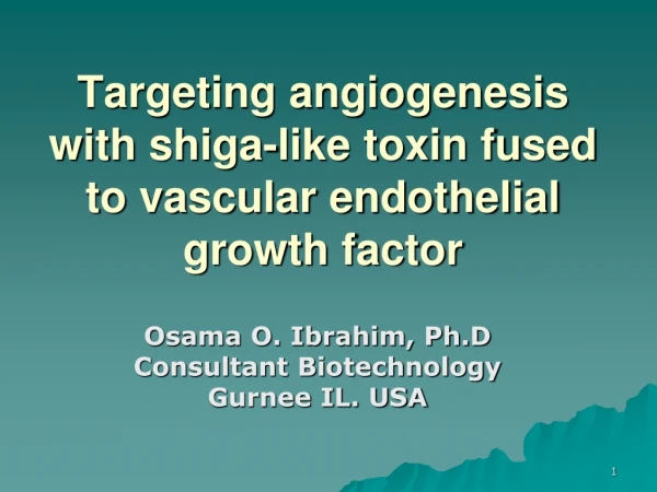 Targeting angiogenesis with shiga-like toxin fused to vascular endothelial growth factor