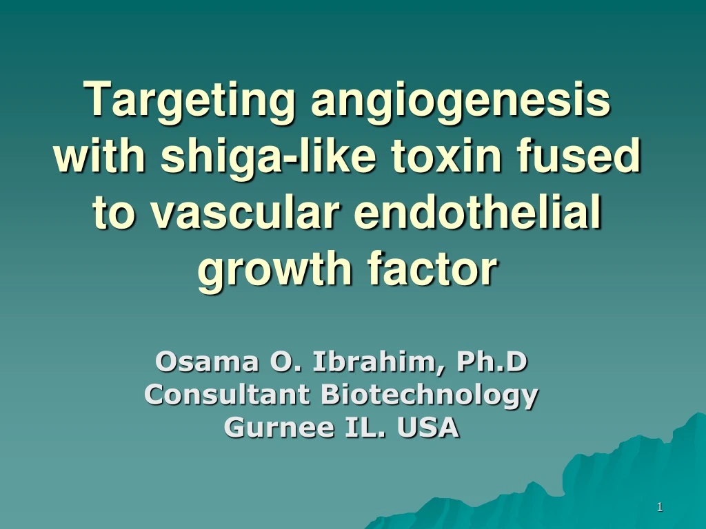 targeting angiogenesis with shiga like toxin fused to vascular endothelial growth factor