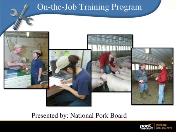 On-the-Job Training Program