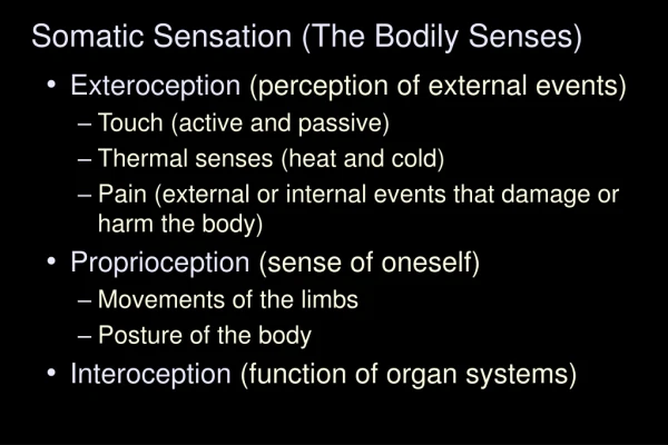 Somatic Sensation (The Bodily Senses)