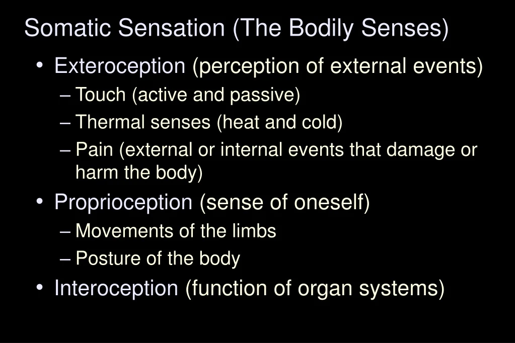 somatic sensation the bodily senses