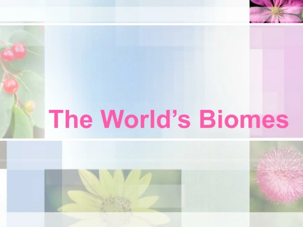 The World’s Biomes
