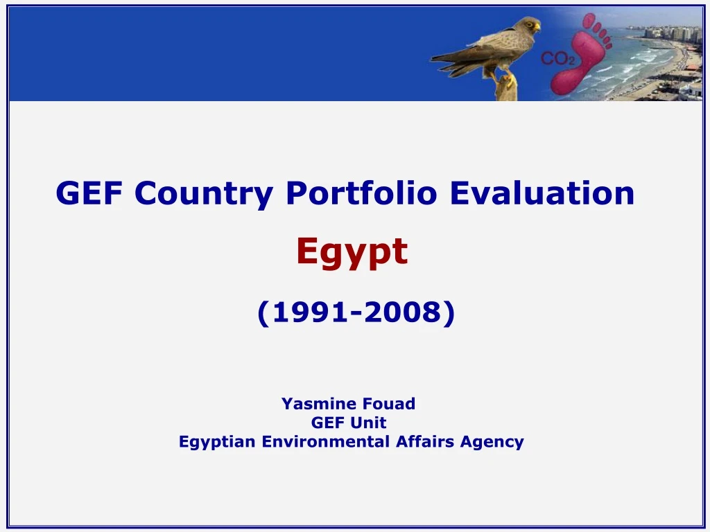 gef country portfolio evaluation egypt 1991 2008