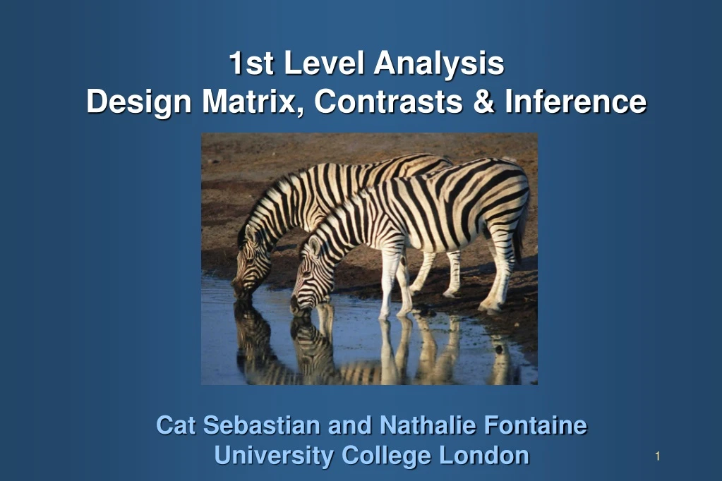 1st level analysis design matrix contrasts