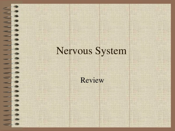 Nervous System