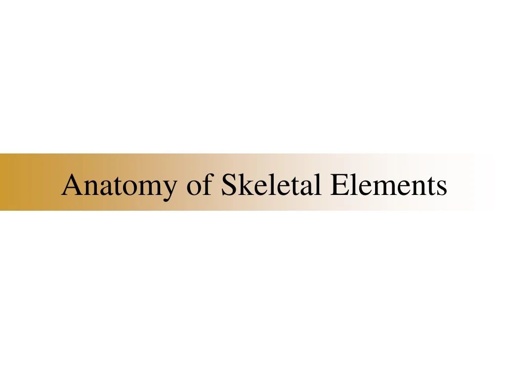 anatomy of skeletal elements