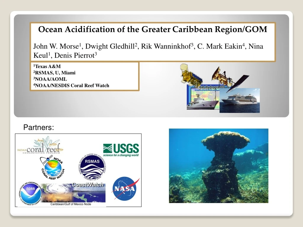 ocean acidification of the greater caribbean