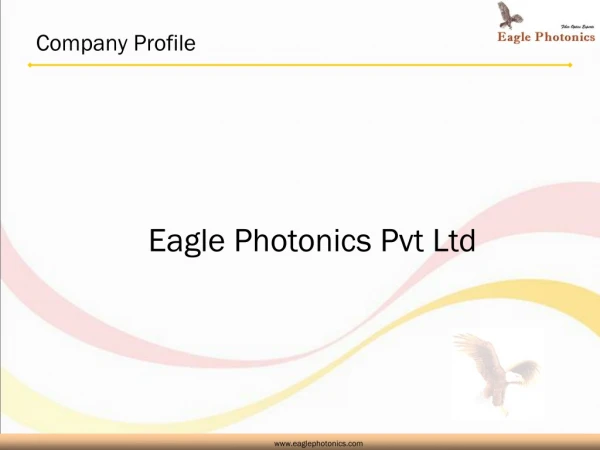 Company Profile