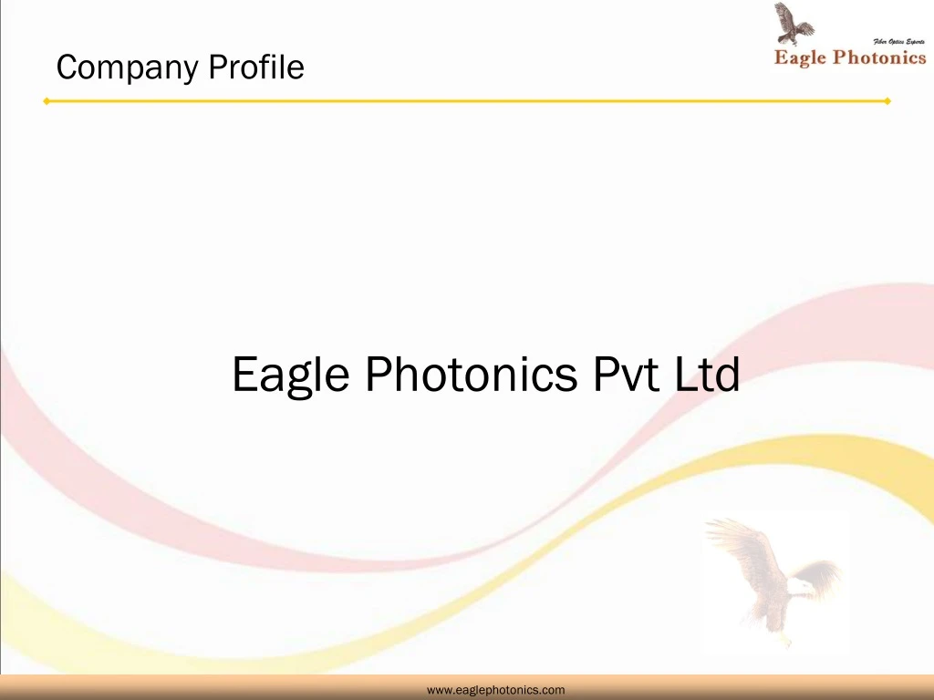 company profile