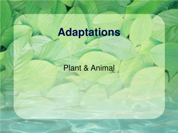 Adaptations