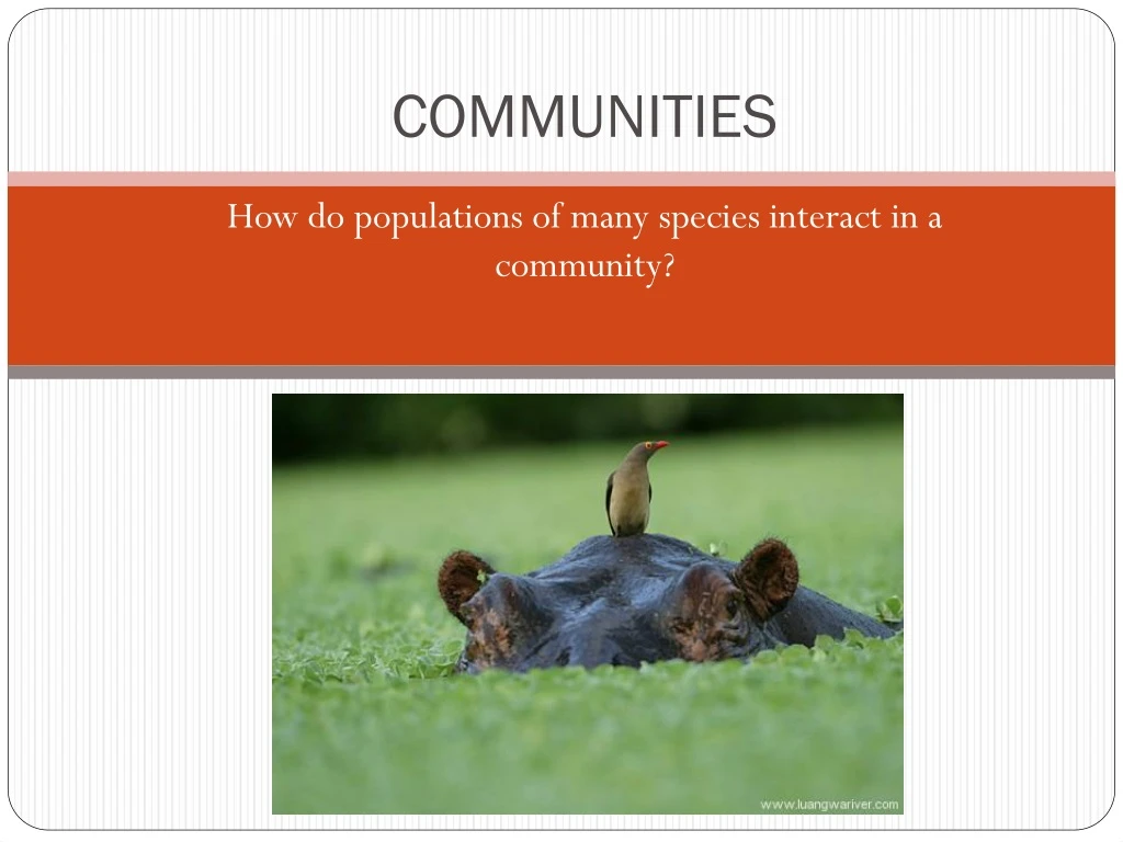 communities