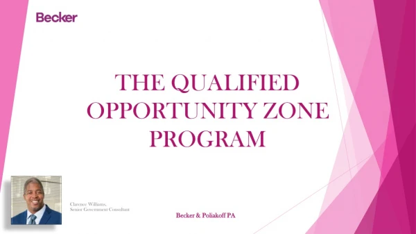 THE QUALIFIED OPPORTUNITY ZONE PROGRAM