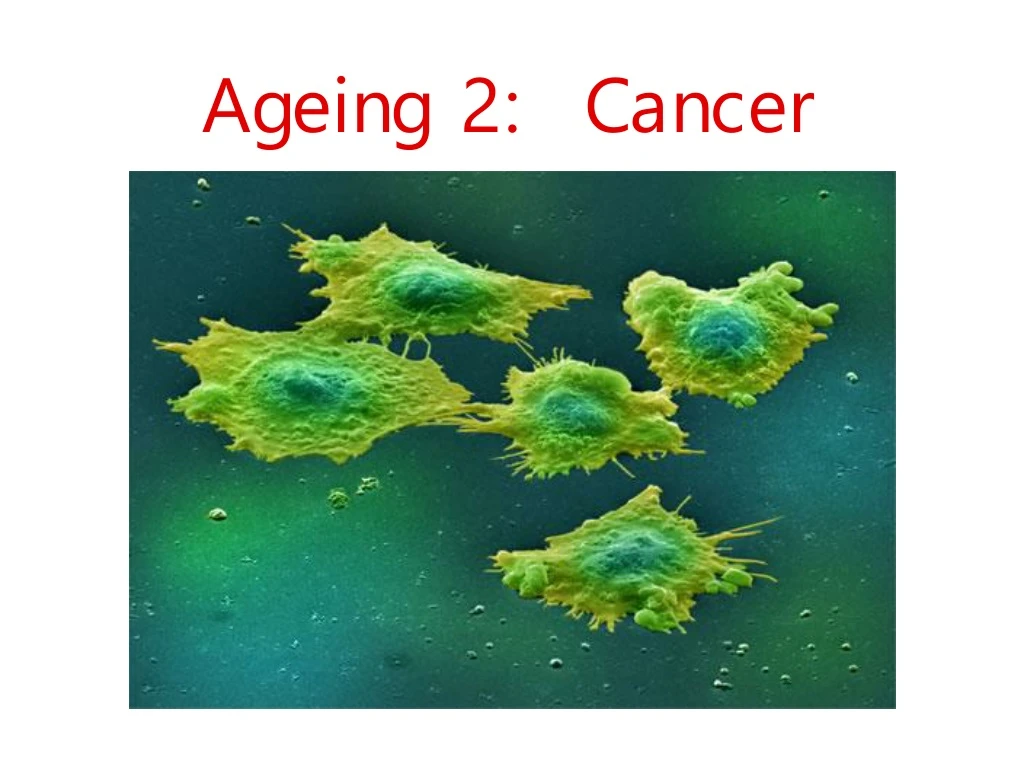 ageing 2 cancer