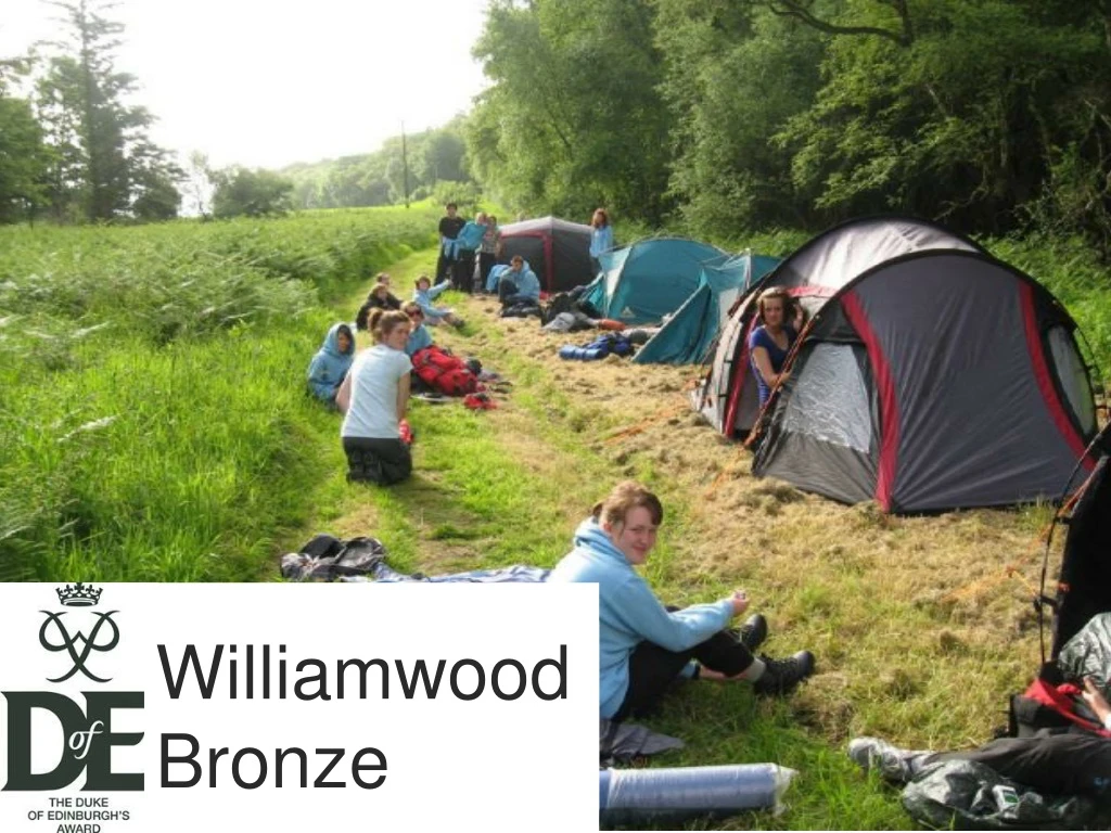 williamwood bronze