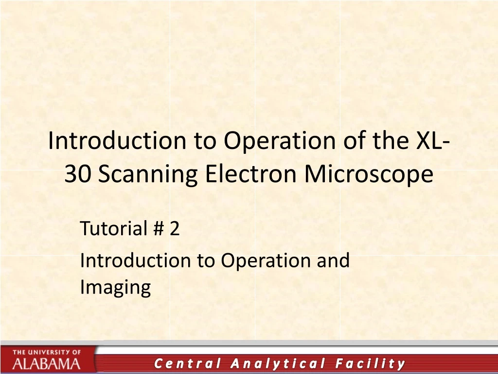 introduction to operation of the xl 30 scanning electron microscope