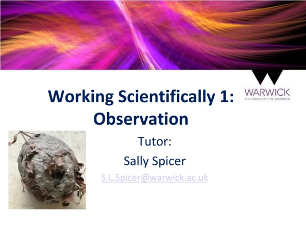 Working Scientifically 1: Observation