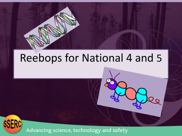 Reebops  for National 4 and  5