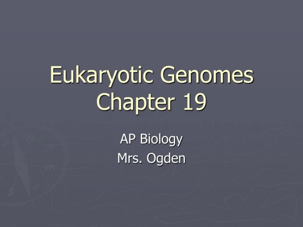 Eukaryotic Genomes Chapter 19