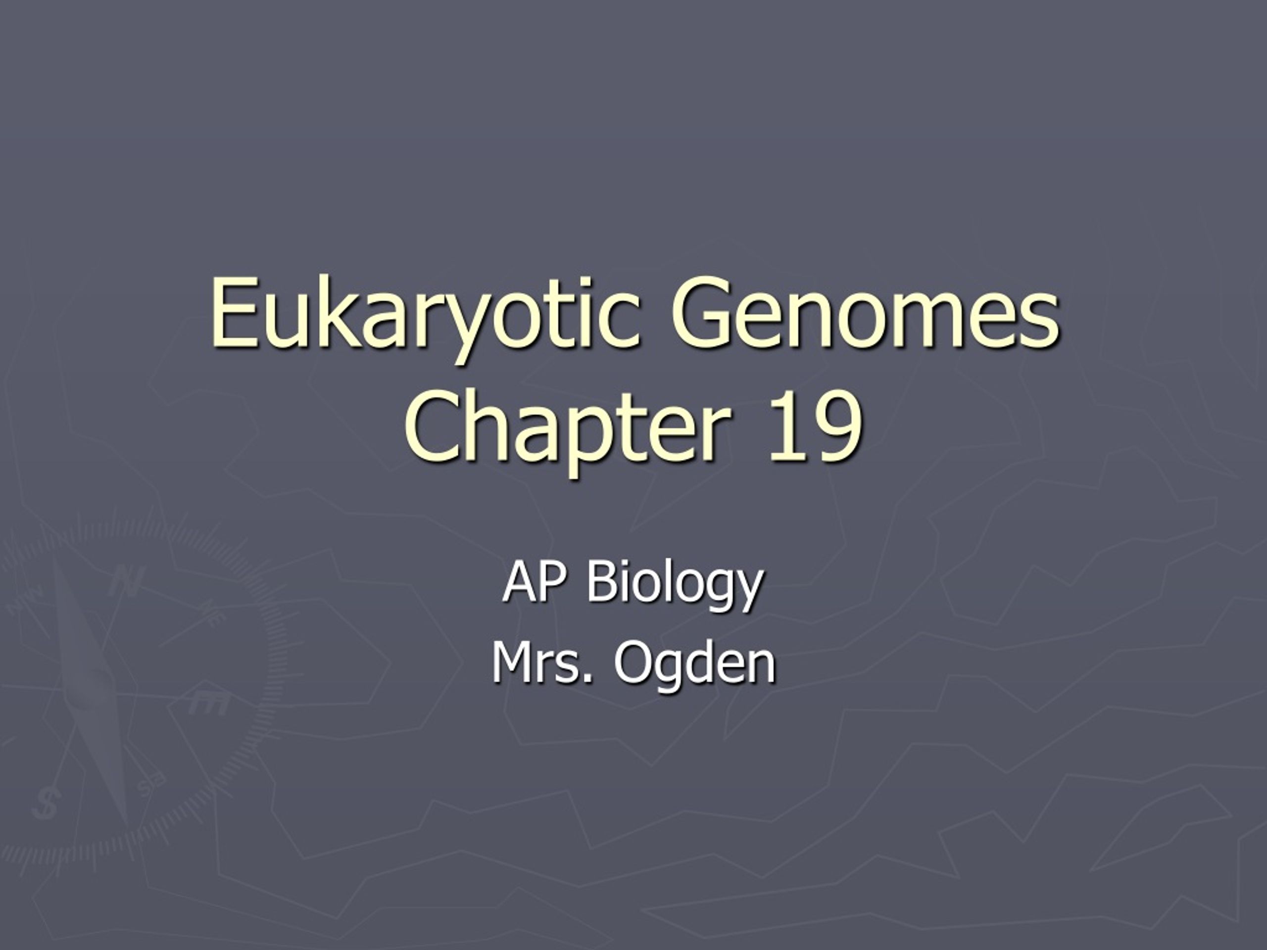 PPT - DNA Organization in Eukaryotic Genomes PowerPoint Presentation ...