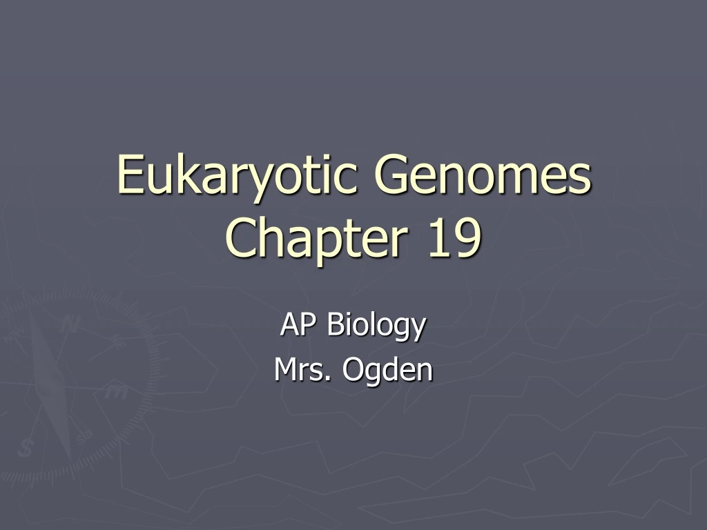 eukaryotic genomes chapter 19