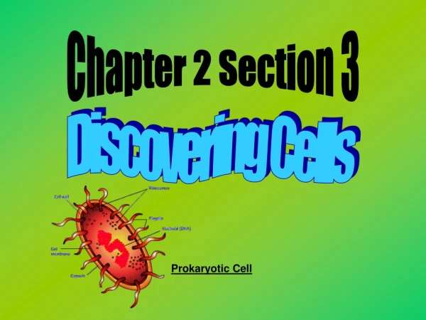 Chapter 2 Section 3