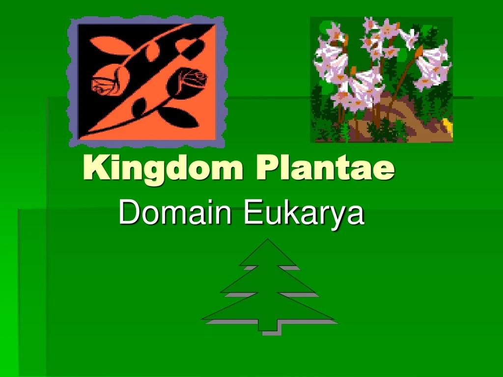 kingdom plantae