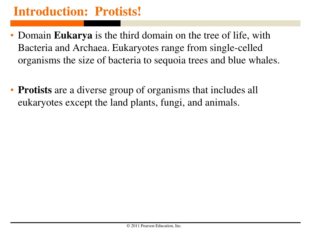 introduction protists