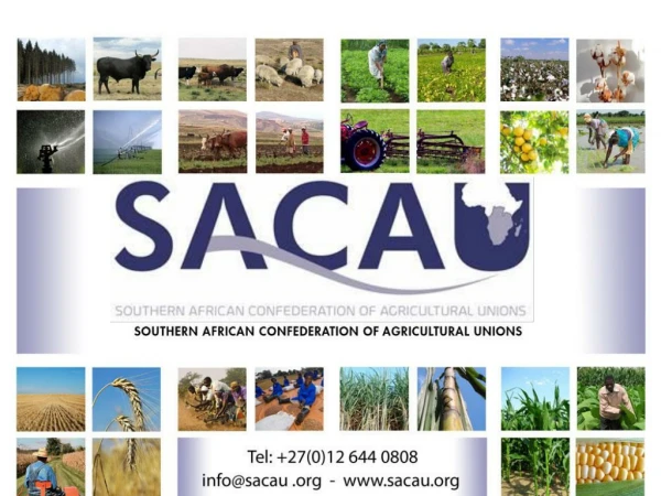 Insights from SACAU’s on-going Climate Smart Agriculture-related initiatives