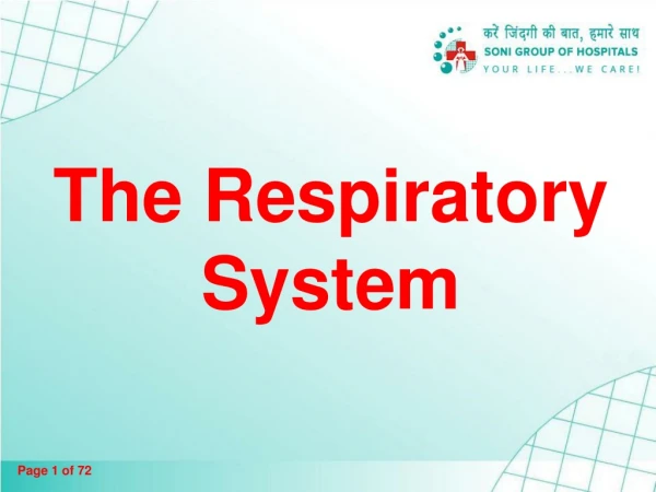 The Respiratory System